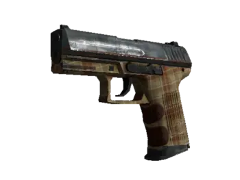 P2000 | Coach Class (Field-Tested)