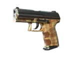 P2000 | Coach Class (Well-Worn)
