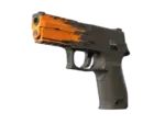 P250 | Splash (Factory New)