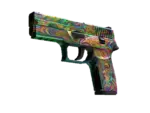 P250 | Visions (Factory New)