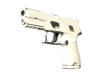 P250 | Whiteout (Field-Tested)