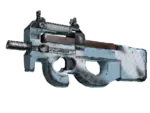 P90 | Glacier Mesh (Well-Worn)