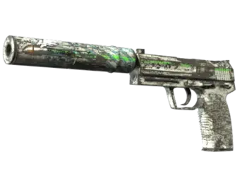 Souvenir USP-S | Road Rash (Battle-Scarred)
