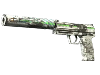 Souvenir USP-S | Road Rash (Field-Tested)