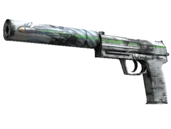 Souvenir USP-S | Road Rash (Minimal Wear)