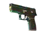 StatTrak™ P250 | Visions (Minimal Wear)