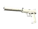 USP-S | Whiteout (Field-Tested)