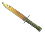 ★ Bayonet | Lore (Battle-Scarred)