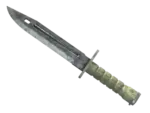 ★ Bayonet | Stained (Well-Worn)