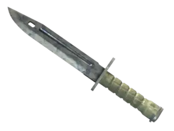 ★ Bayonet | Stained (Well-Worn)