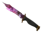 ★ Bowie Knife | Doppler (Factory New)