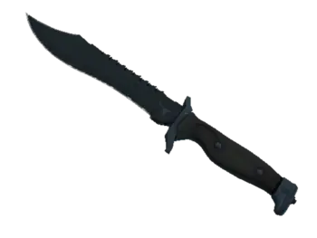 ★ Bowie Knife | Night (Minimal Wear)