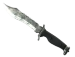 ★ Bowie Knife | Stained (Battle-Scarred)
