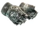 ★ Broken Fang Gloves | Unhinged (Field-Tested)