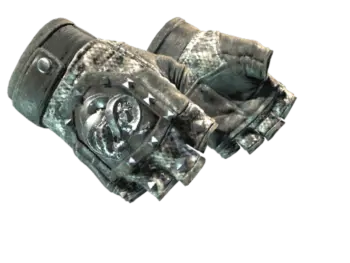 ★ Broken Fang Gloves | Unhinged (Field-Tested)