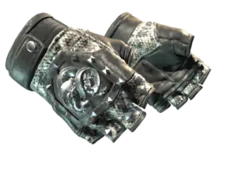 ★ Broken Fang Gloves | Unhinged (Minimal Wear)