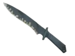 ★ Classic Knife | Night Stripe (Well-Worn)