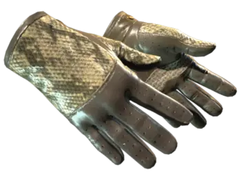 ★ Driver Gloves | Diamondback (Well-Worn)