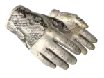 ★ Driver Gloves | King Snake (Well-Worn)