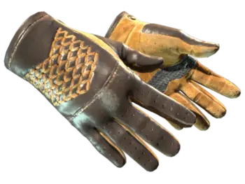 ★ Driver Gloves | Overtake (Field-Tested)