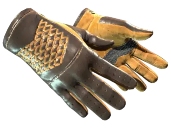 ★ Driver Gloves | Overtake (Minimal Wear)