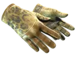 ★ Driver Gloves | Queen Jaguar (Battle-Scarred)
