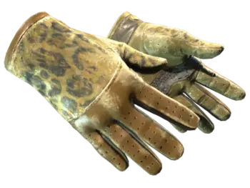 ★ Driver Gloves | Queen Jaguar (Battle-Scarred)