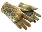 ★ Driver Gloves | Queen Jaguar (Field-Tested)