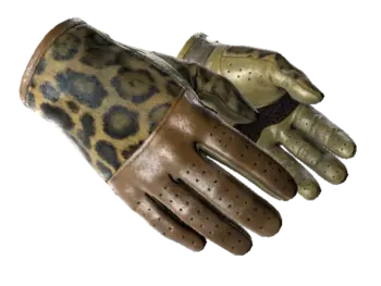 ★ Driver Gloves | Queen Jaguar (Minimal Wear)