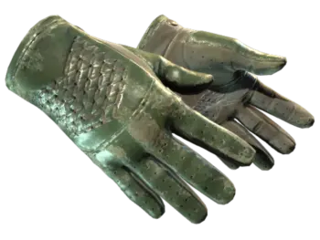 ★ Driver Gloves | Racing Green (Battle-Scarred)