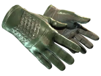 ★ Driver Gloves | Racing Green (Field-Tested)