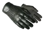 ★ Driver Gloves | Racing Green (Minimal Wear)