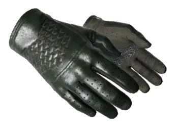 ★ Driver Gloves | Racing Green (Minimal Wear)