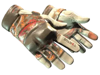 ★ Moto Gloves | POW! (Field-Tested)