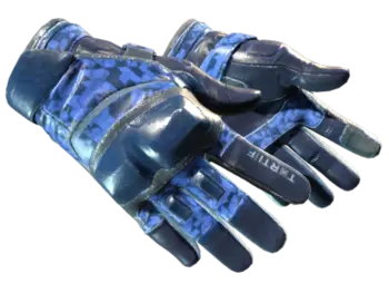★ Moto Gloves | Polygon (Field-Tested)