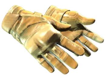 ★ Moto Gloves | Transport (Field-Tested)