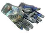 ★ Specialist Gloves | Mogul (Battle-Scarred)