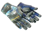 ★ Specialist Gloves | Mogul (Field-Tested)