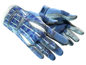 ★ Sport Gloves | Amphibious (Field-Tested)