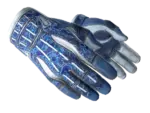★ Sport Gloves | Amphibious (Well-Worn)