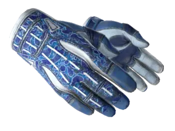 ★ Sport Gloves | Amphibious (Well-Worn)
