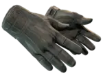 ★ Sport Gloves | Nocts (Field-Tested)