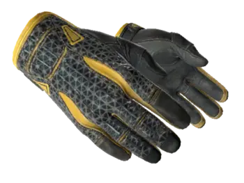 ★ Sport Gloves | Omega (Well-Worn)
