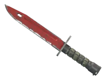 ★ StatTrak™ Bayonet | Crimson Web (Field-Tested)