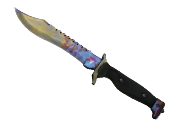 ★ StatTrak™ Bowie Knife | Case Hardened (Well-Worn)