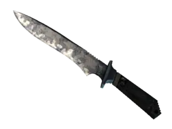 ★ StatTrak™ Classic Knife | Stained (Battle-Scarred)