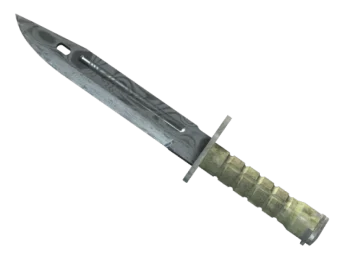 ★ Bayonet | Damascus Steel (Field-Tested)