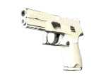 P250 | Whiteout (Well-Worn)