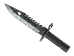 ★ M9 Bayonet | Stained (Well-Worn)