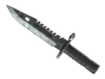 ★ M9 Bayonet | Stained (Well-Worn)